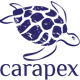 carapex-natural-skincare
