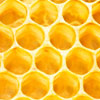 beeswax