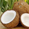 coconut